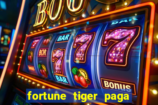 fortune tiger paga de madrugada