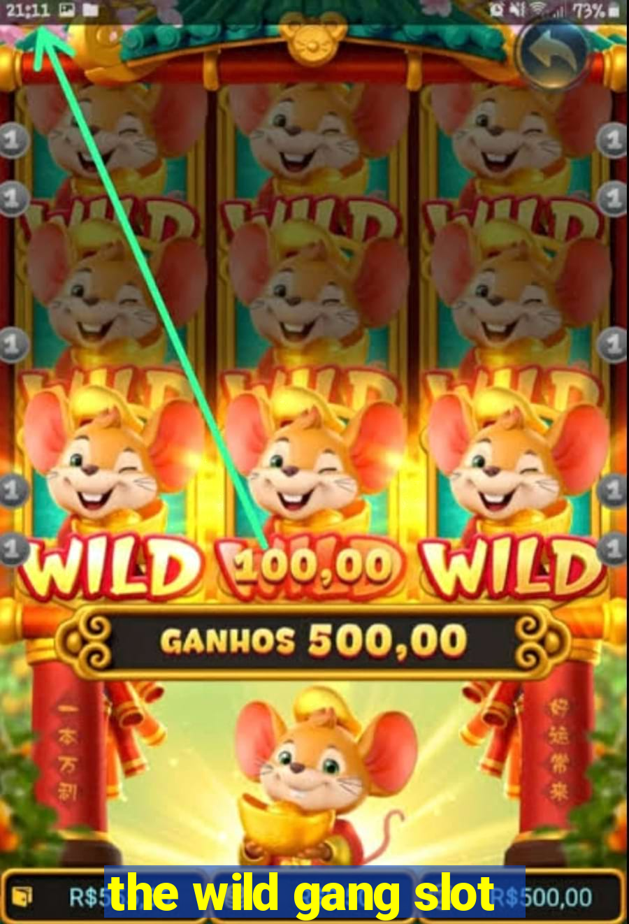 the wild gang slot