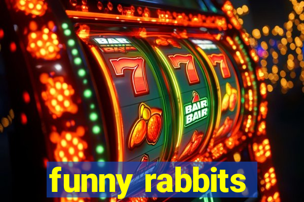 funny rabbits