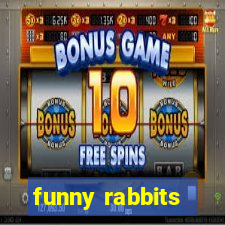 funny rabbits