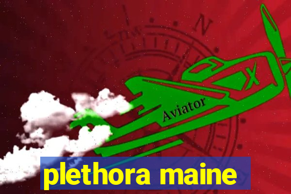 plethora maine