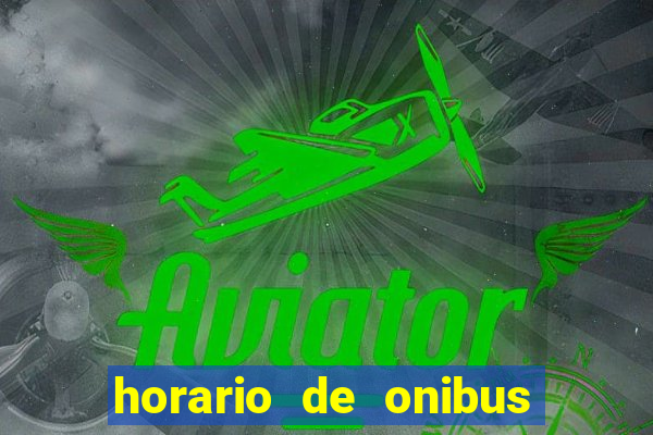 horario de onibus passaro marrom