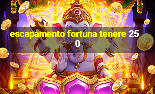 escapamento fortuna tenere 250