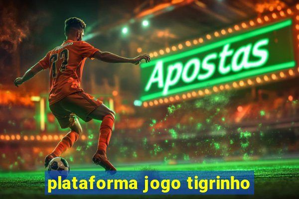 plataforma jogo tigrinho