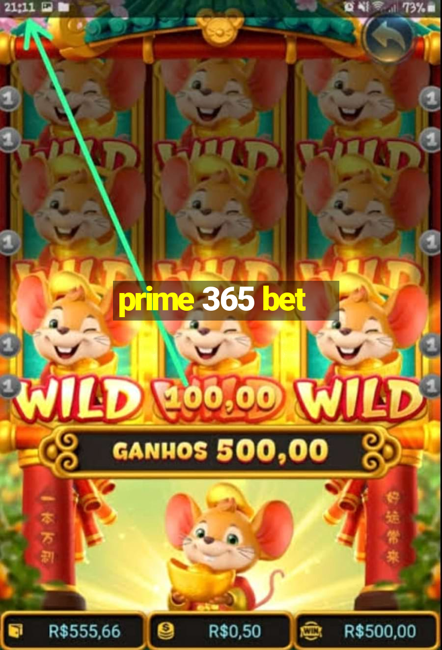 prime 365 bet