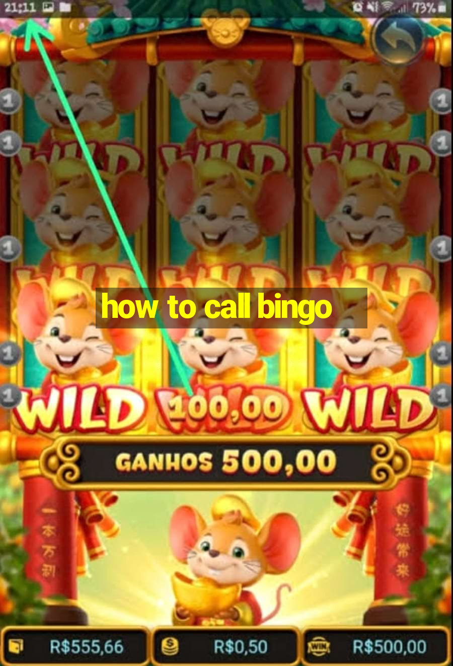 how to call bingo