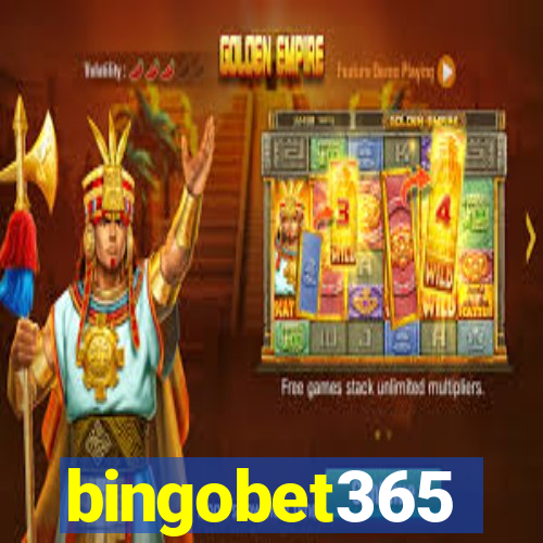 bingobet365