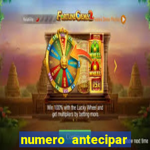 numero antecipar credito vivo