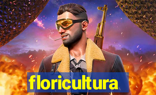 floricultura cruzeiro novo