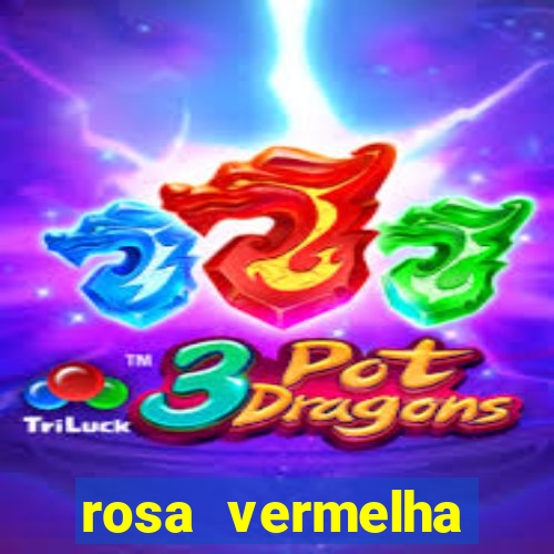 rosa vermelha (letra e cifra)