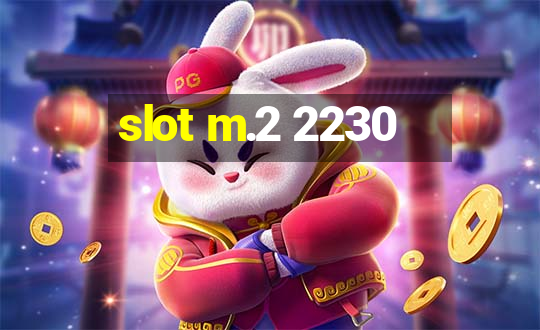 slot m.2 2230