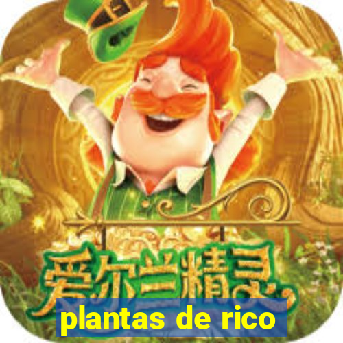 plantas de rico