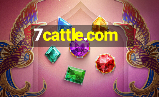 7cattle.com