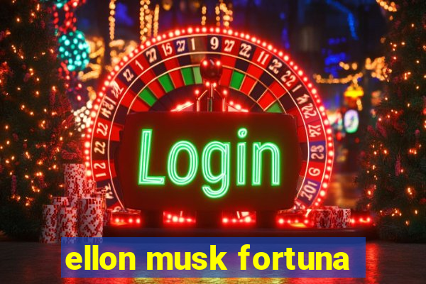 ellon musk fortuna