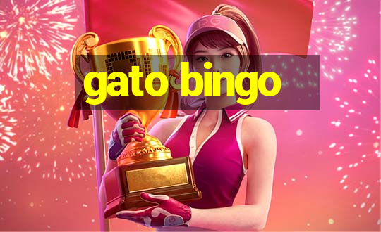 gato bingo