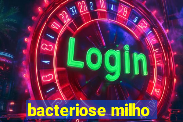 bacteriose milho