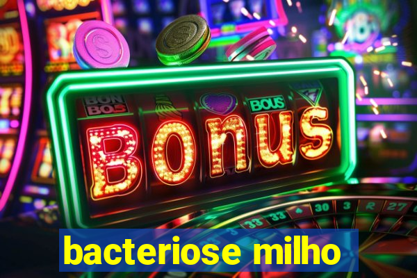 bacteriose milho