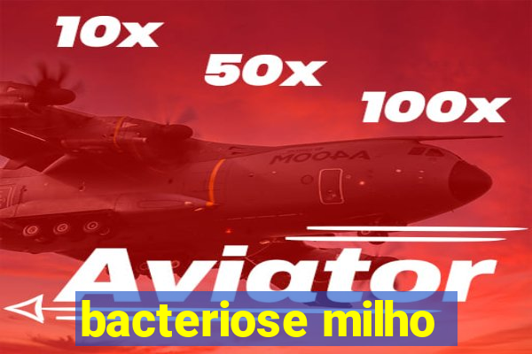 bacteriose milho