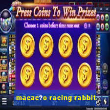 macac?o racing rabbit