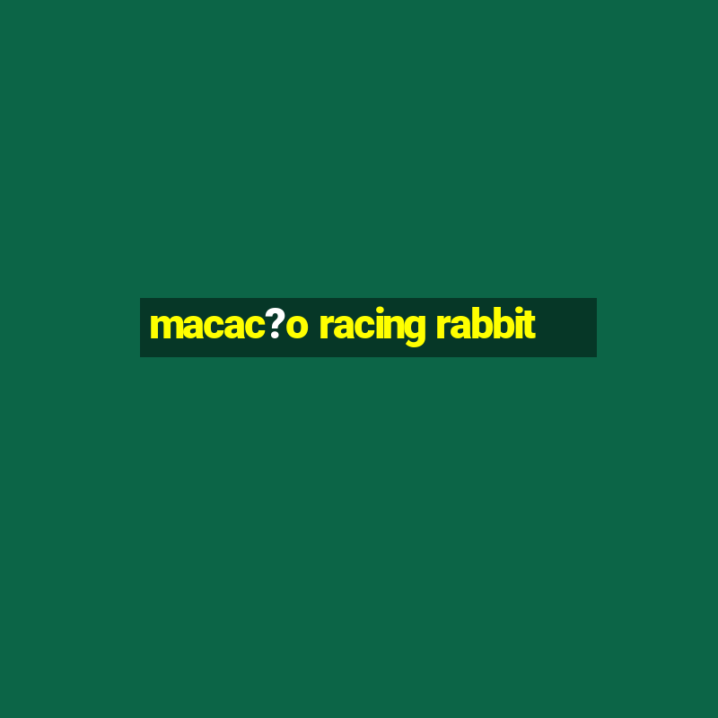 macac?o racing rabbit