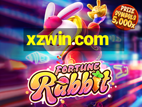 xzwin.com