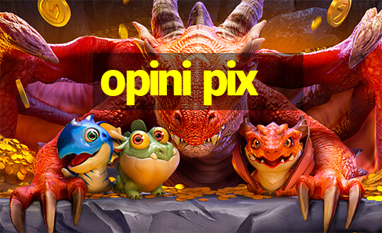 opini pix