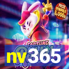 nv365