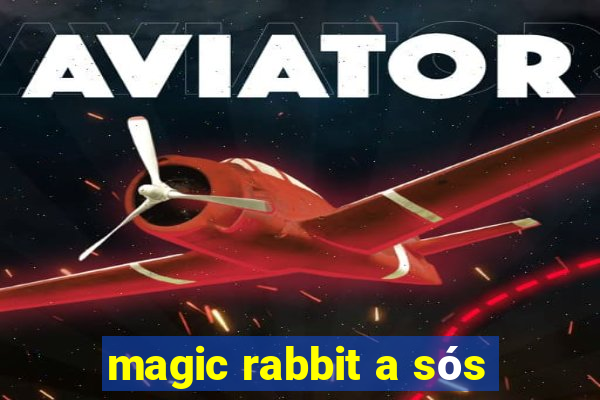 magic rabbit a sós