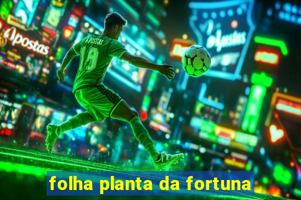 folha planta da fortuna