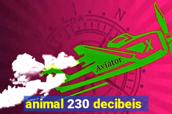 animal 230 decibeis