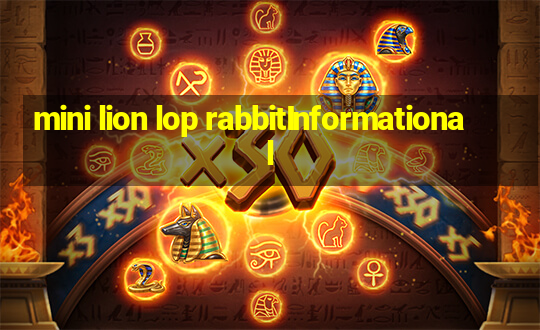 mini lion lop rabbitInformational