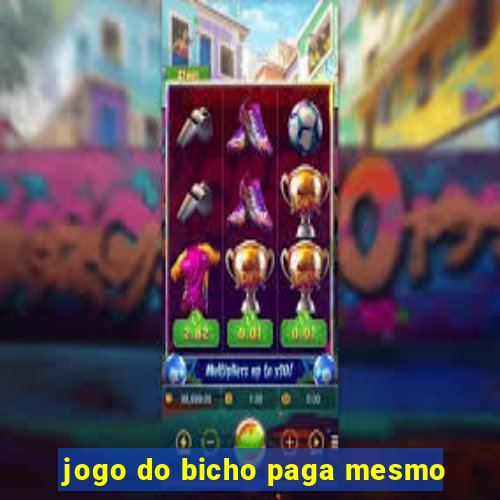 jogo do bicho paga mesmo