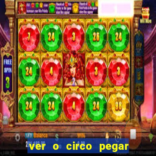 ver o circo pegar fogo significado