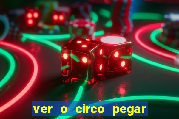 ver o circo pegar fogo significado