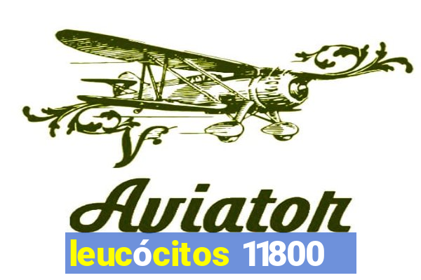 leucócitos 11800