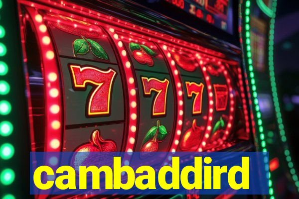 cambaddird