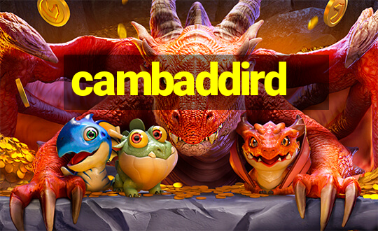 cambaddird