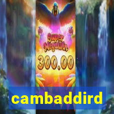 cambaddird