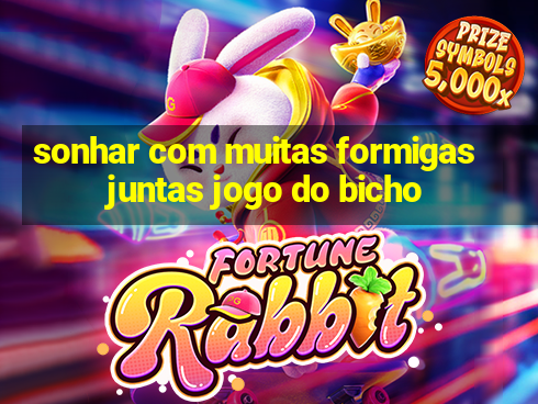 sonhar com muitas formigas juntas jogo do bicho