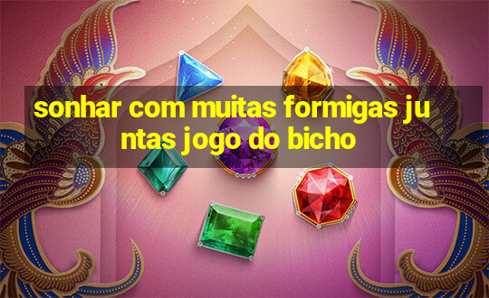 sonhar com muitas formigas juntas jogo do bicho