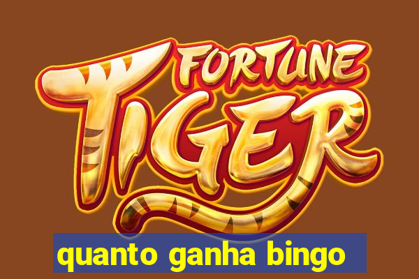 quanto ganha bingo