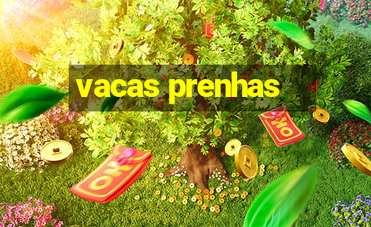 vacas prenhas