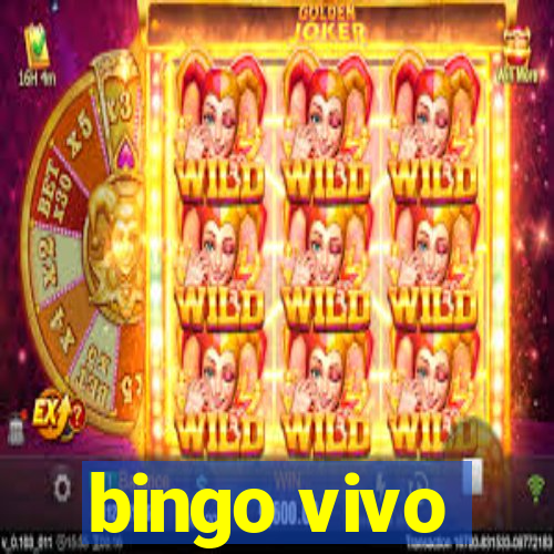 bingo vivo