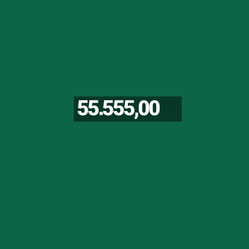 55.555,00