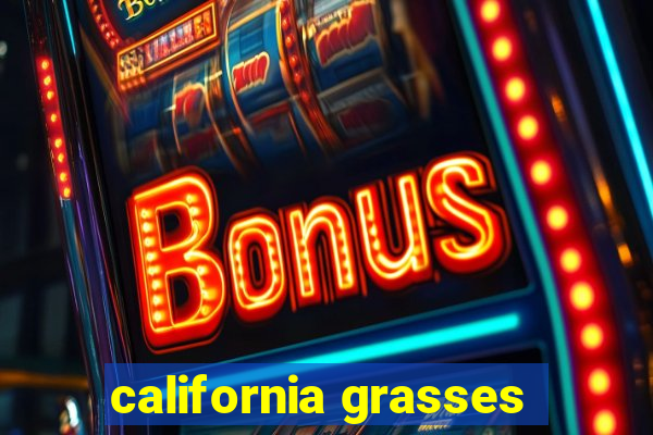 california grasses