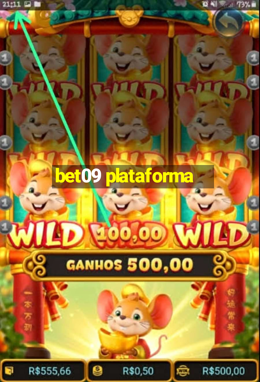 bet09 plataforma