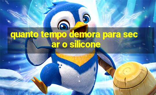 quanto tempo demora para secar o silicone