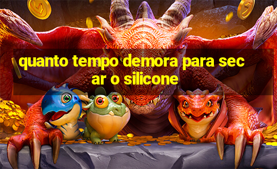 quanto tempo demora para secar o silicone