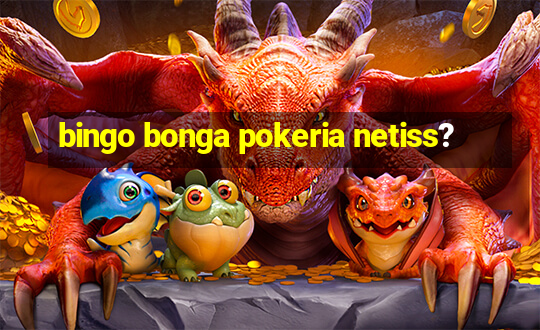 bingo bonga pokeria netiss?