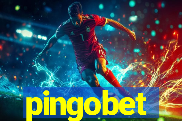 pingobet